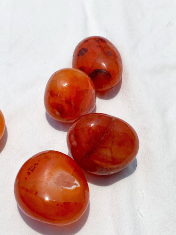 Carnelian Tumbles| Large - Unearthed Crystals