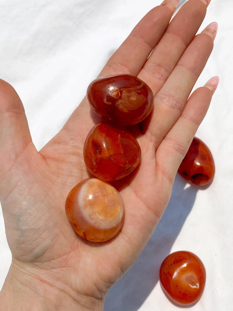 Carnelian Tumbles| Large - Unearthed Crystals