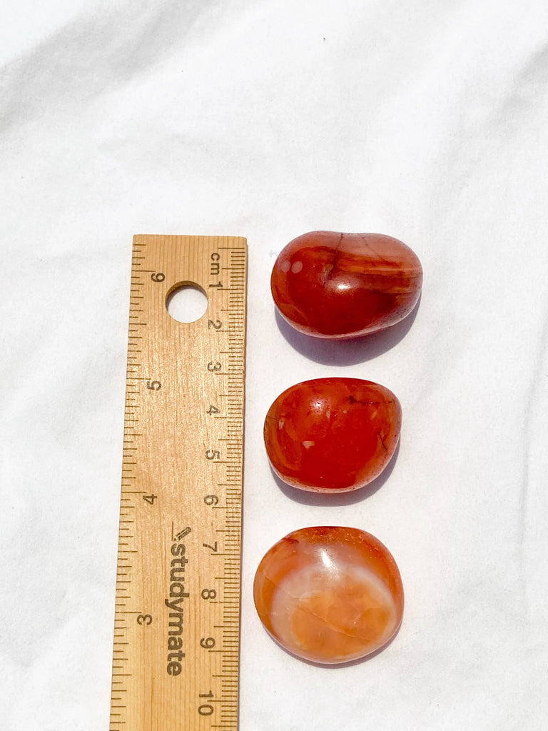 Carnelian Tumbles| Large - Unearthed Crystals
