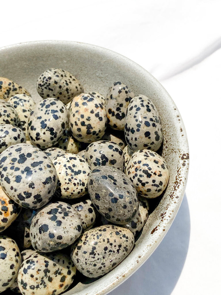 Dalmatian Jasper Tumbles | Medium - Unearthed Crystals