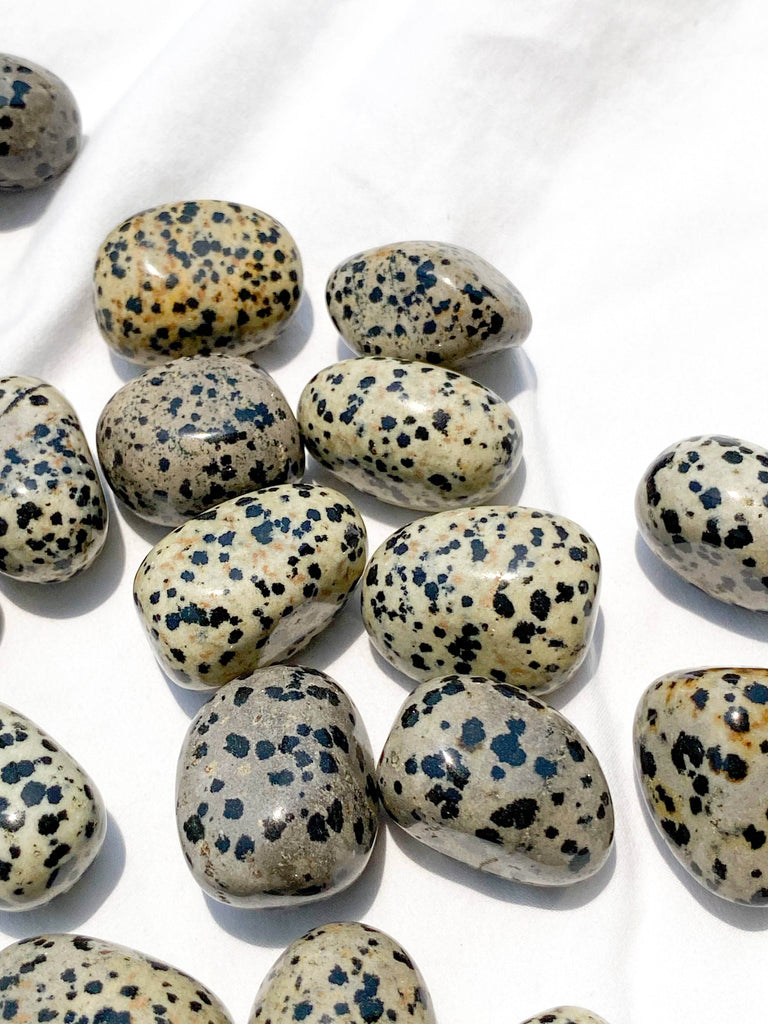 Dalmatian Jasper Tumbles | Medium - Unearthed Crystals