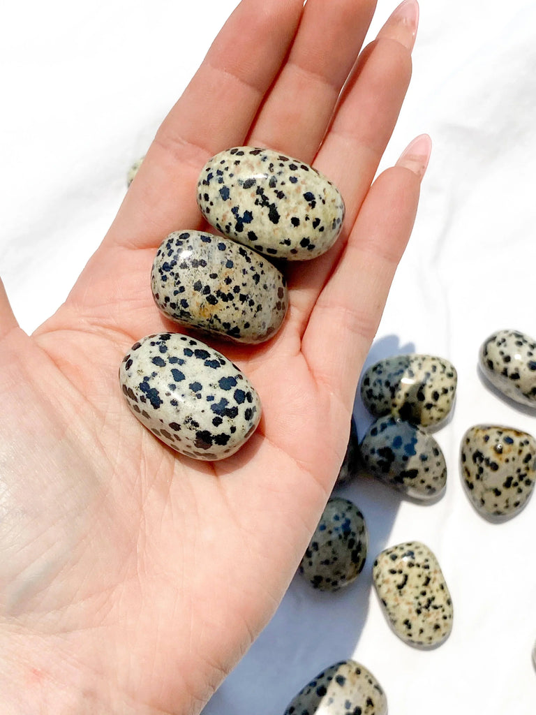 Dalmatian Jasper Tumbles | Medium - Unearthed Crystals