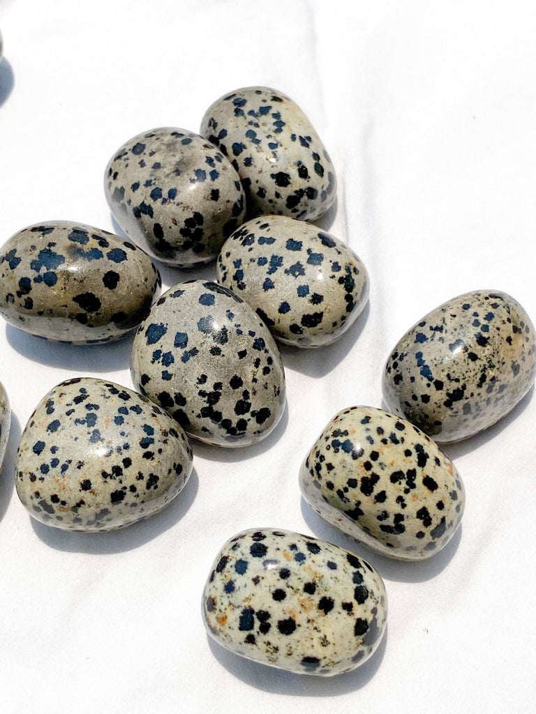 Dalmatian Jasper Tumbles | Large - Unearthed Crystals