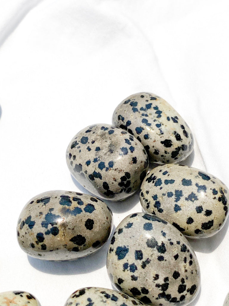 Dalmatian Jasper Tumbles | Large - Unearthed Crystals