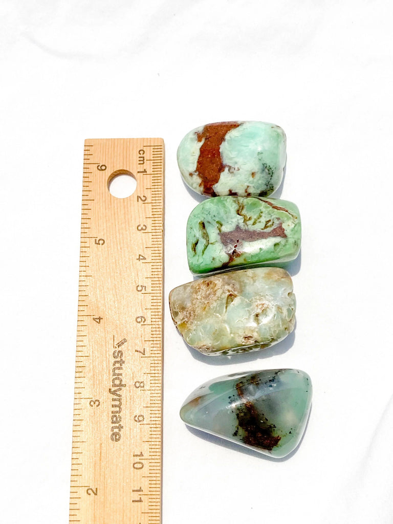 Chrysoprase Tumble | Large - Unearthed Crystals