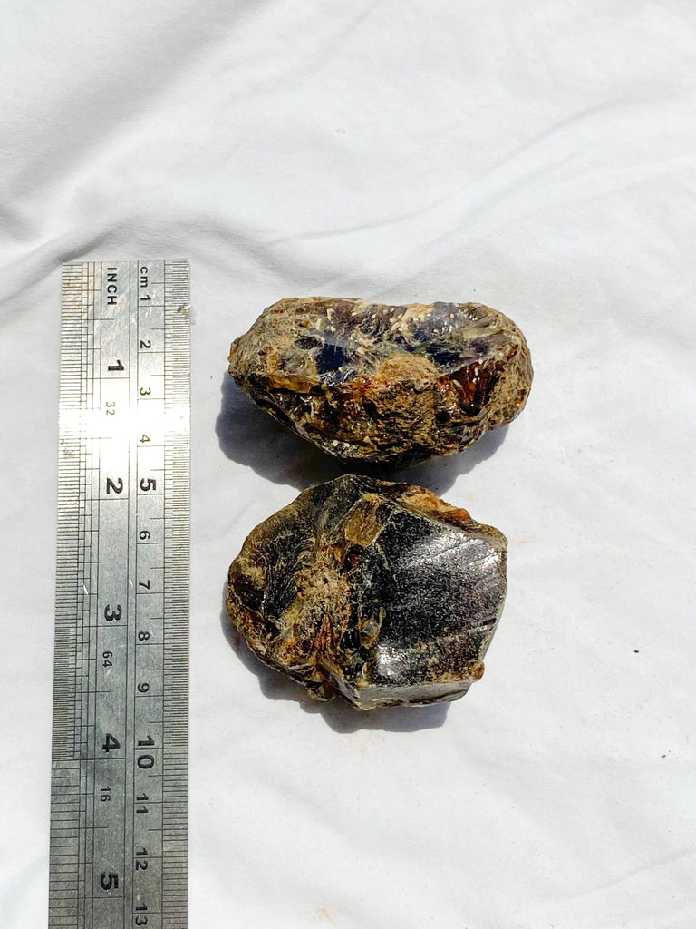 Amber Rough | Large - Unearthed Crystals