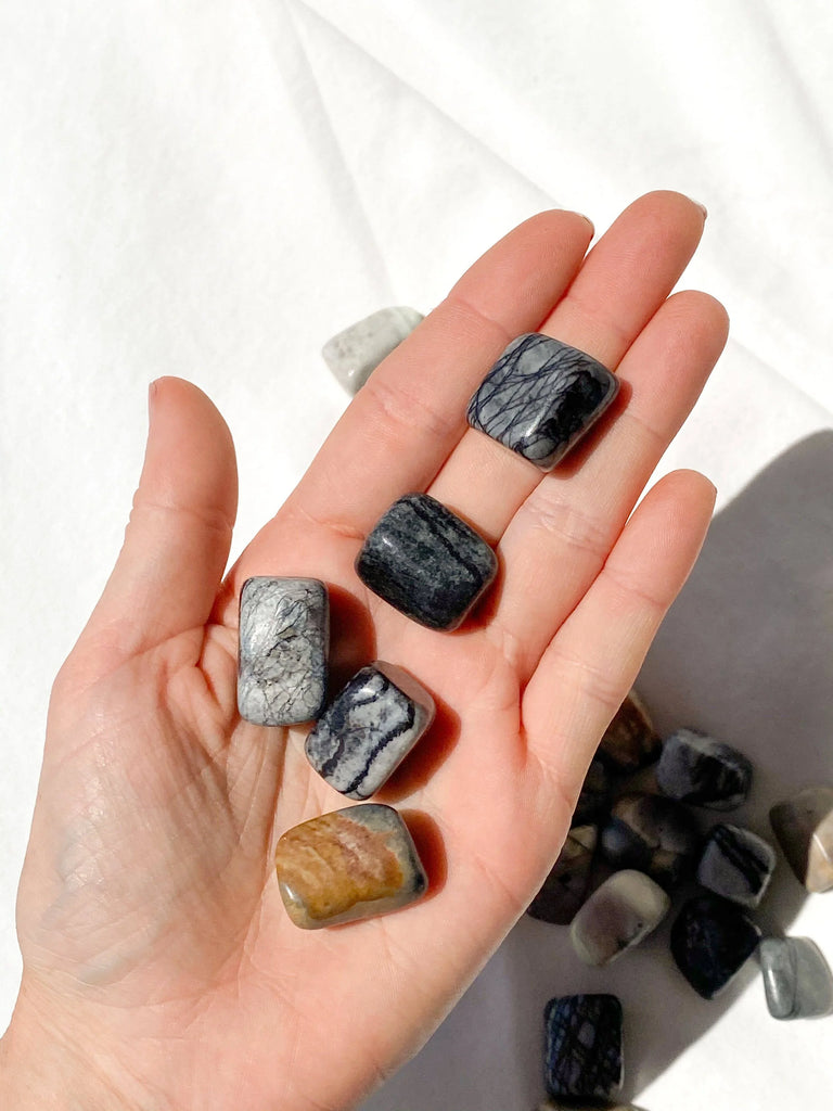 Picasso Jasper Tumble | Small - Unearthed Crystals