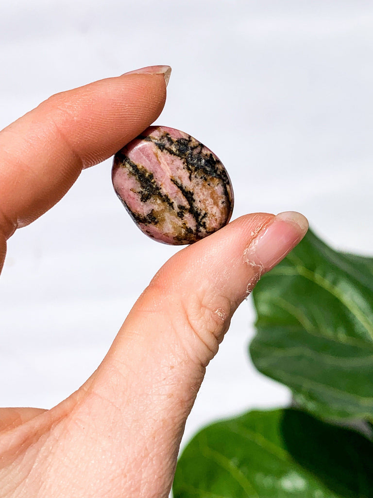 Rhodonite Coin - Unearthed Crystals