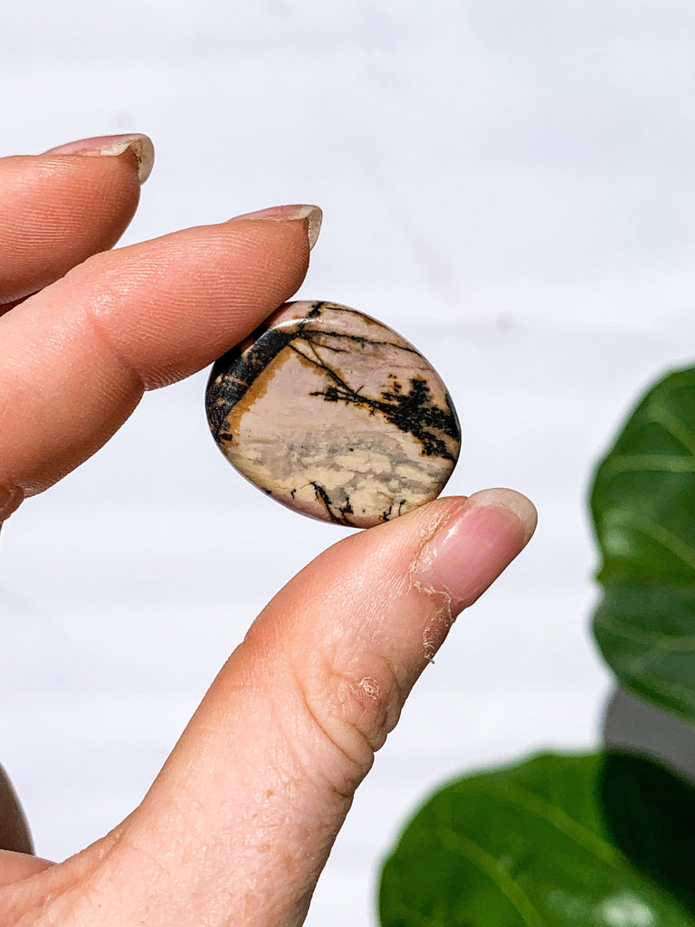 Rhodonite Coin - Unearthed Crystals