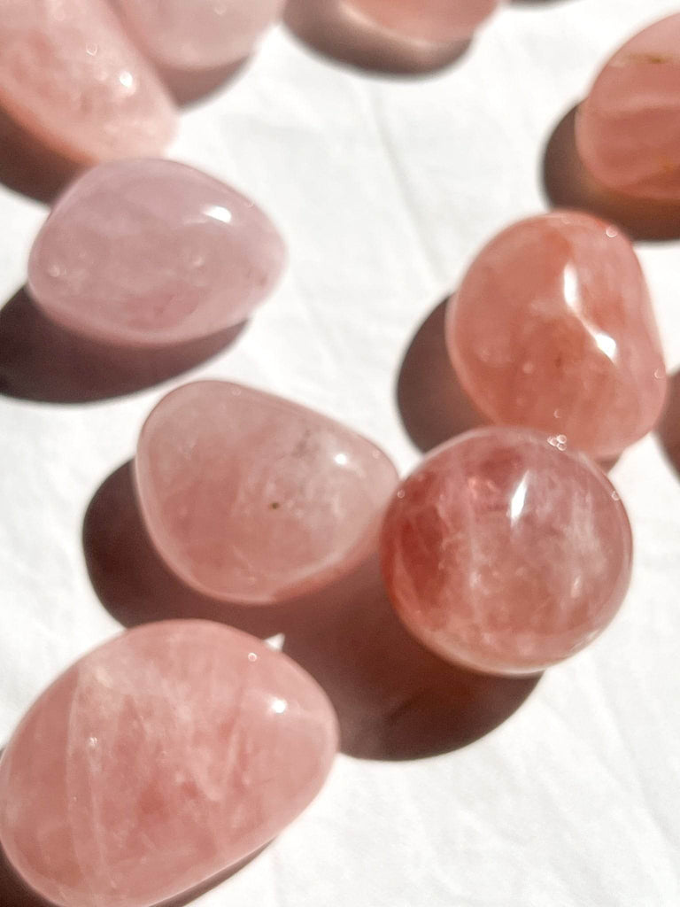 Rose Quartz Palm Stone | Medium - Unearthed Crystals