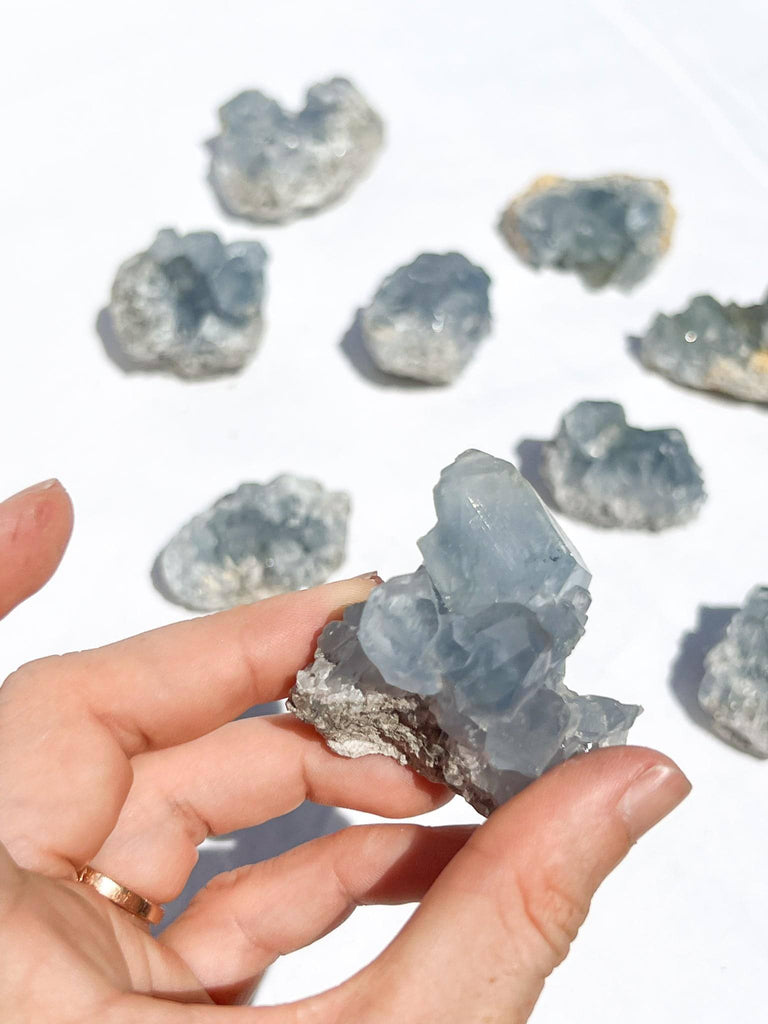 Celestite Cluster | Small - Unearthed Crystals