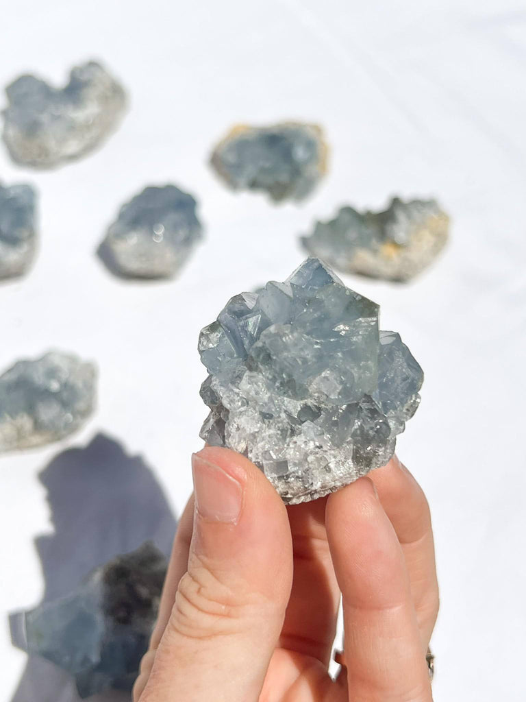 Celestite Cluster | Small - Unearthed Crystals