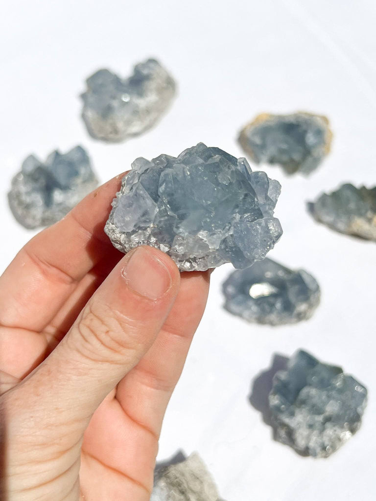 Celestite Cluster | Small - Unearthed Crystals