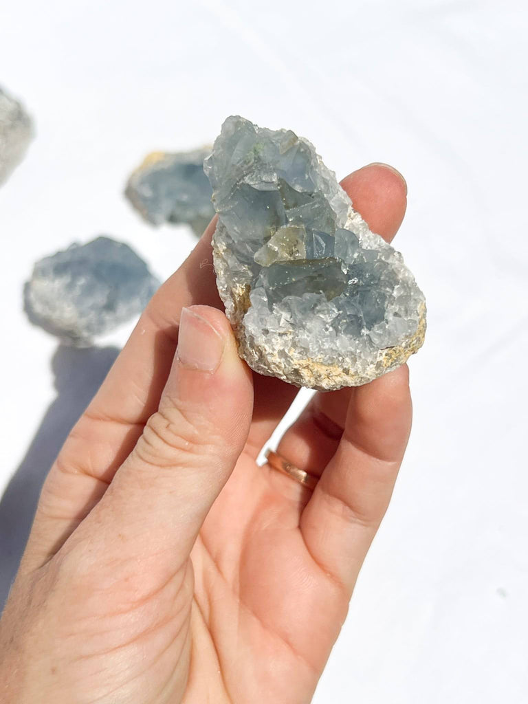 Celestite Cluster | Small - Unearthed Crystals