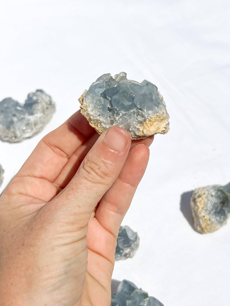 Celestite Cluster | Small - Unearthed Crystals