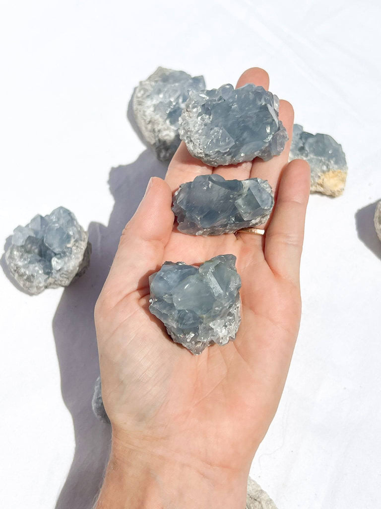 Celestite Cluster | Small - Unearthed Crystals