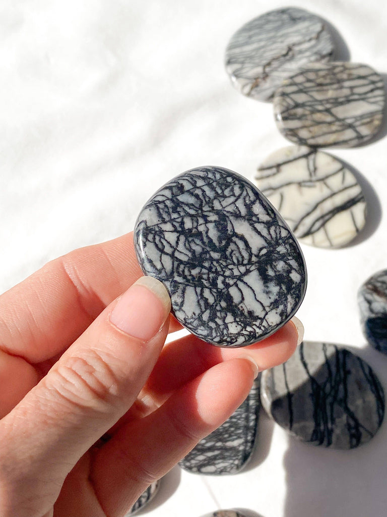 Picasso Jasper Flat Palm Stone - Unearthed Crystals