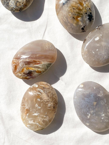 Dendritic Agate Palm Stone | Medium - Unearthed Crystals