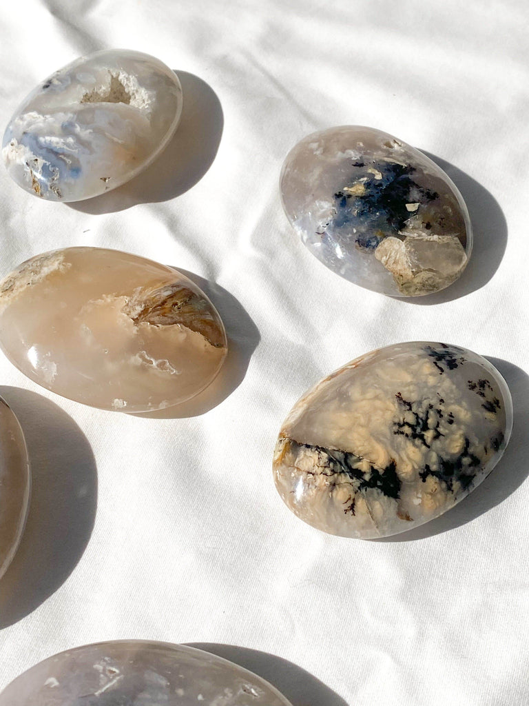 Dendritic Agate Palm Stone | Medium - Unearthed Crystals