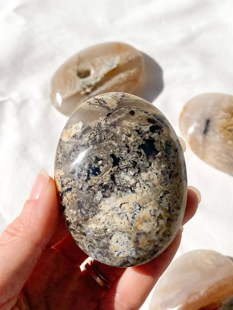 Dendritic Agate Palm Stone | Medium - Unearthed Crystals