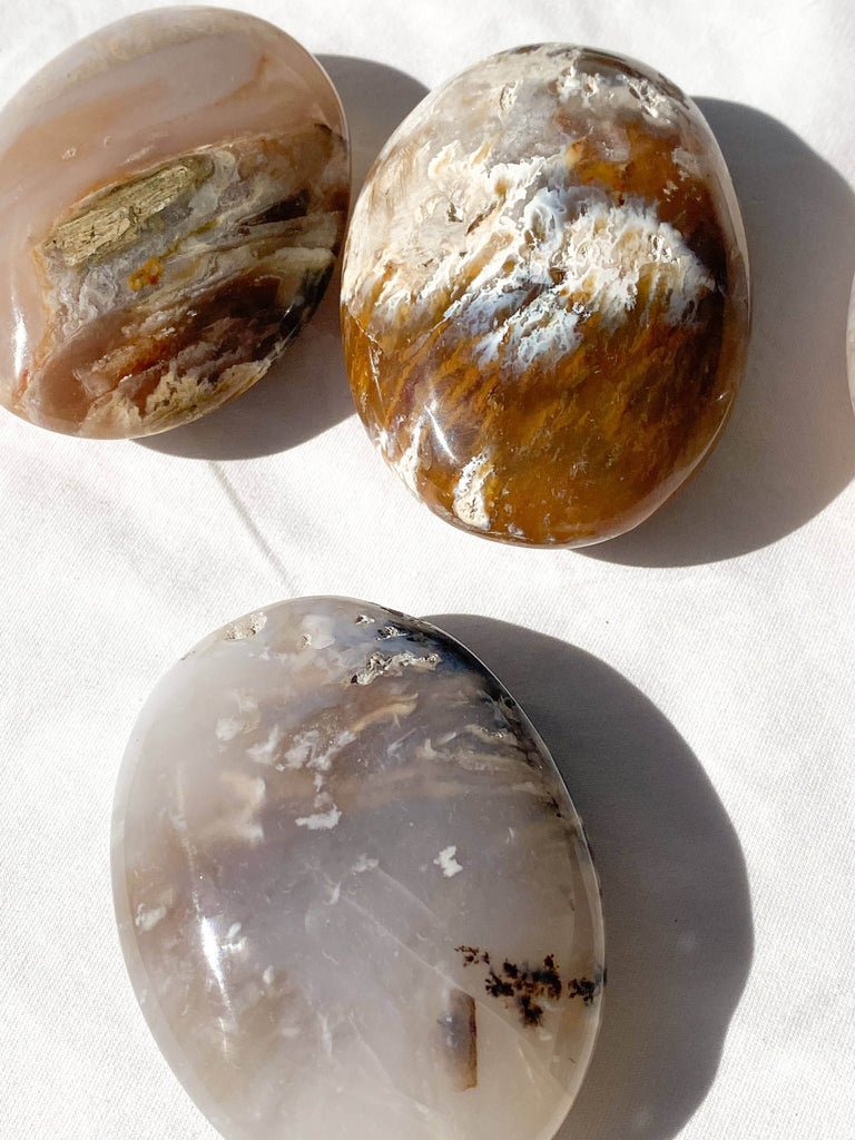 Dendritic Agate Palm Stone | Large - Unearthed Crystals