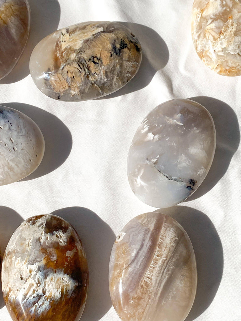 Dendritic Agate Palm Stone | Large - Unearthed Crystals