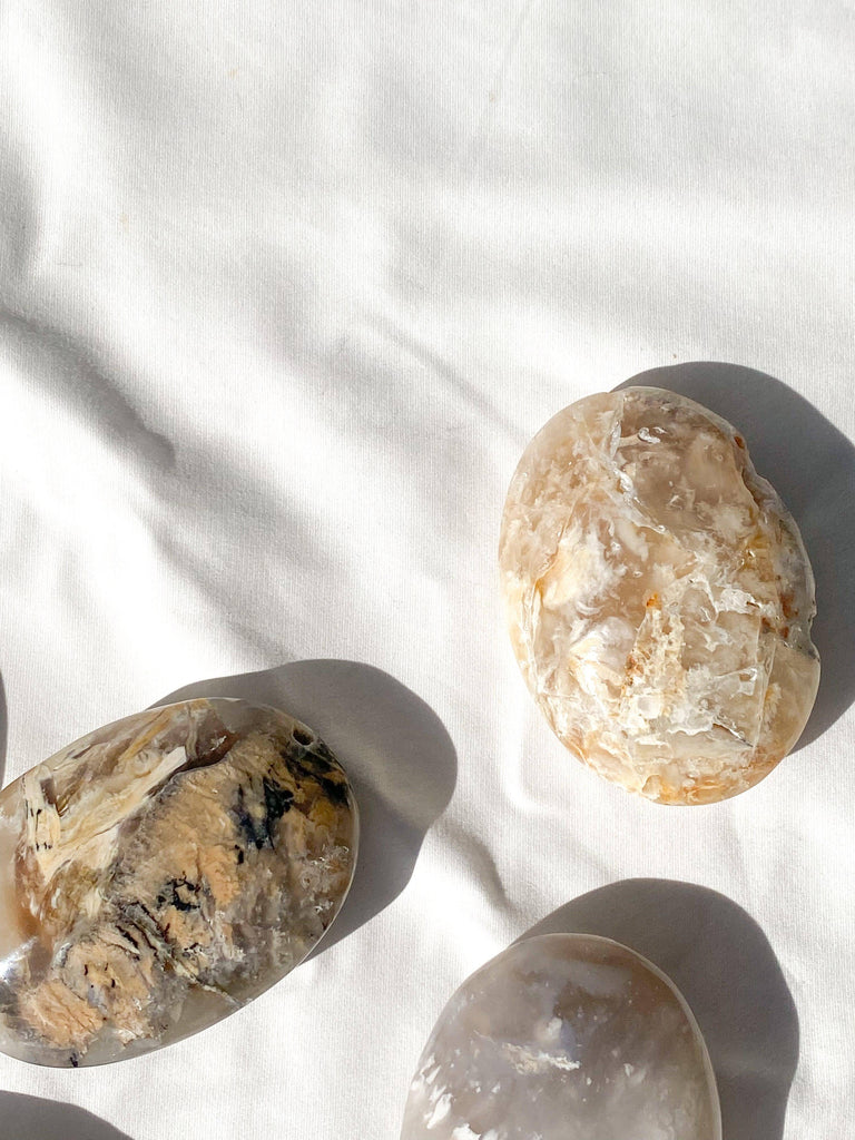Dendritic Agate Palm Stone | Large - Unearthed Crystals