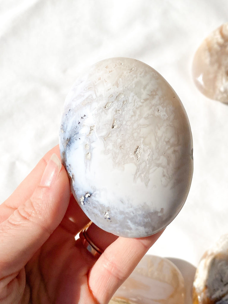 Dendritic Agate Palm Stone | Large - Unearthed Crystals