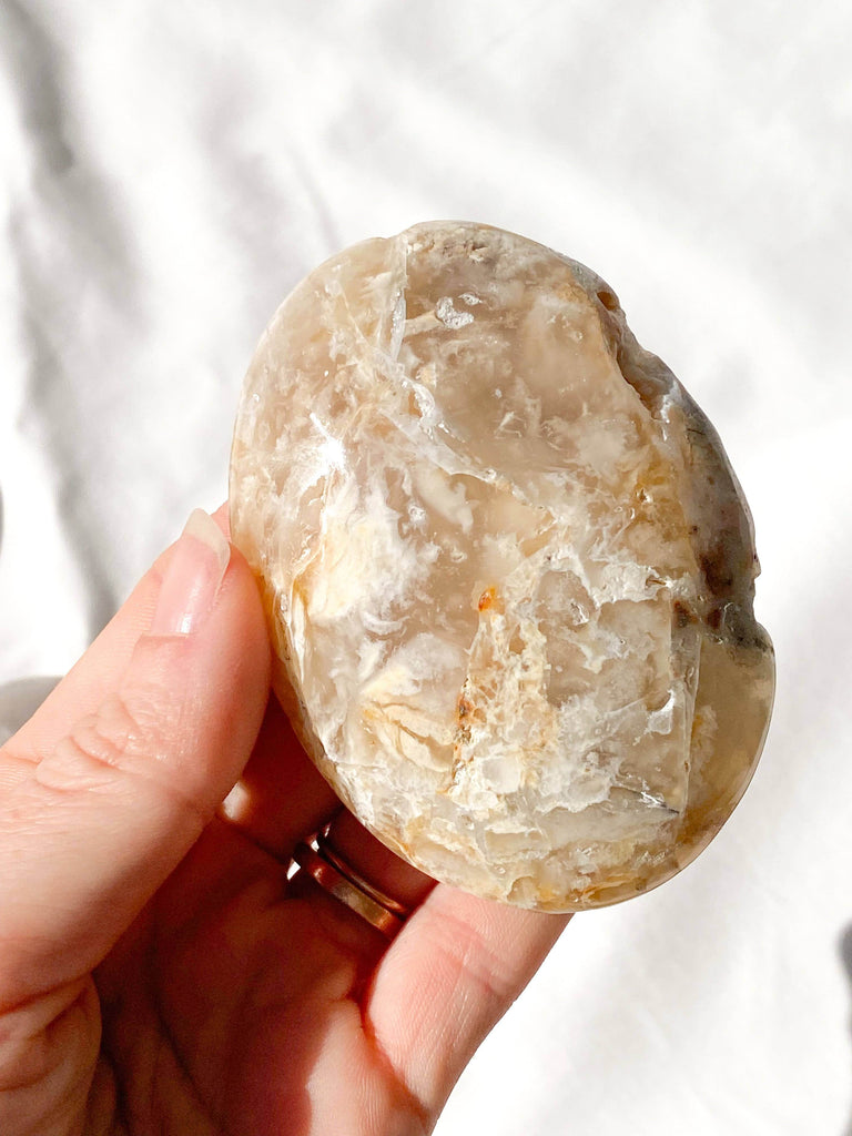 Dendritic Agate Palm Stone | Large - Unearthed Crystals