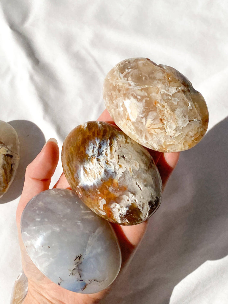 Dendritic Agate Palm Stone | Large - Unearthed Crystals