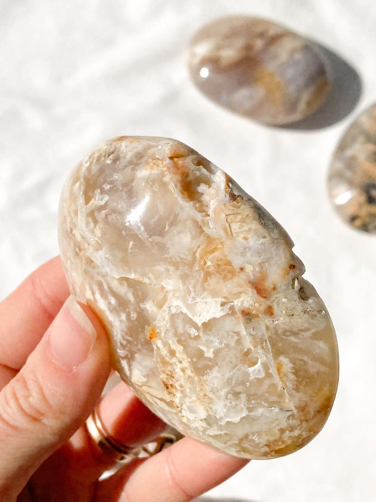 Dendritic Agate Palm Stone | Large - Unearthed Crystals
