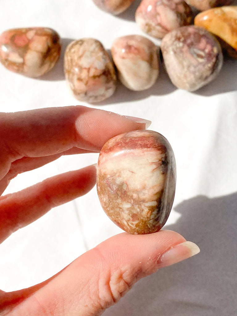 Rose Jasper Tumbles | Large - Unearthed Crystals
