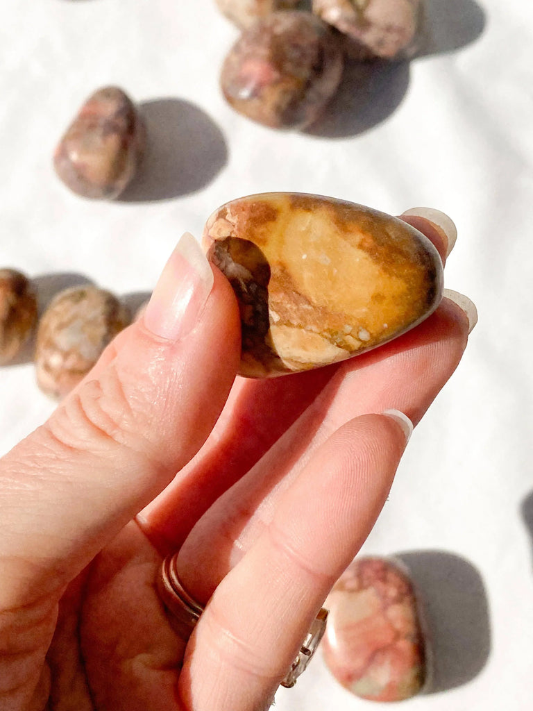 Rose Jasper Tumbles | Large - Unearthed Crystals