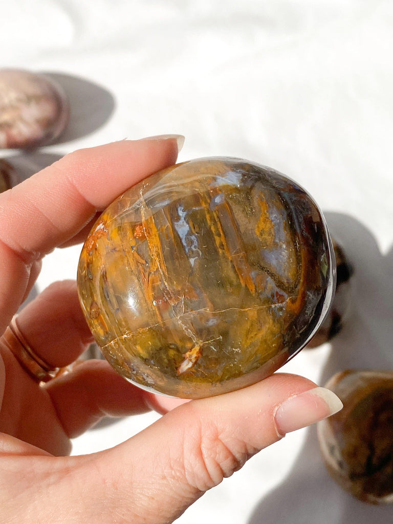 Petrified Wood Palm Stone | Large - Unearthed Crystals