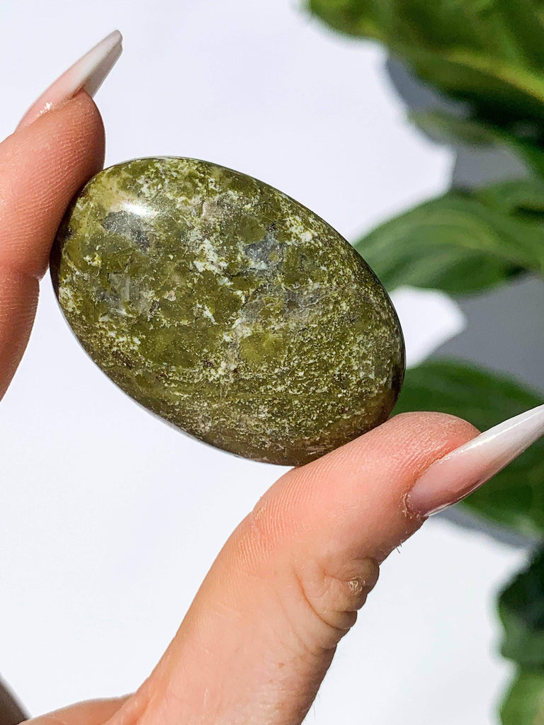 Unakite Pillow Palm Stone - Unearthed Crystals