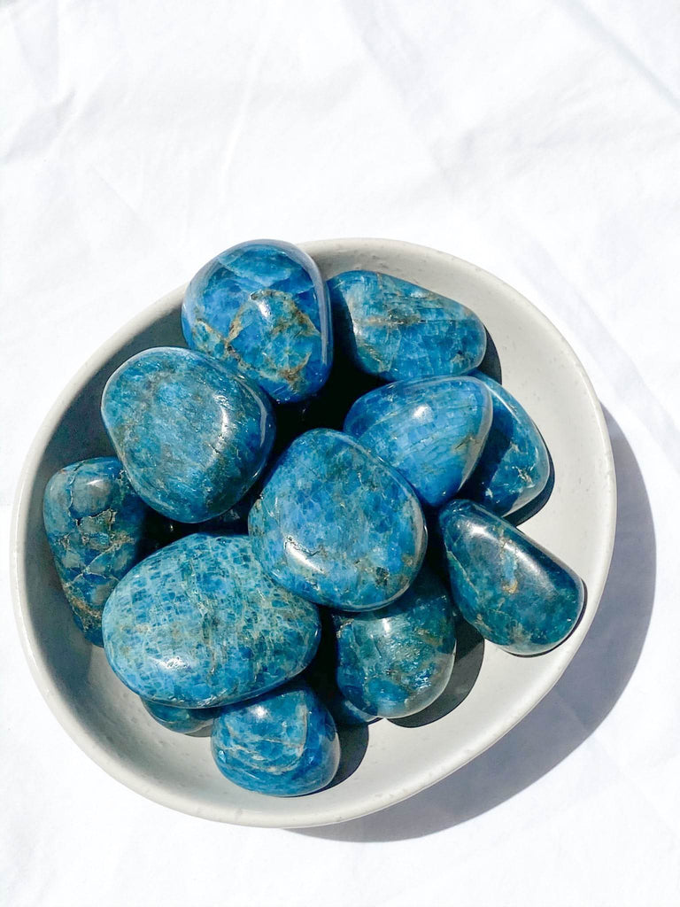 Blue Apatite Palm Stone | Medium - Unearthed Crystals