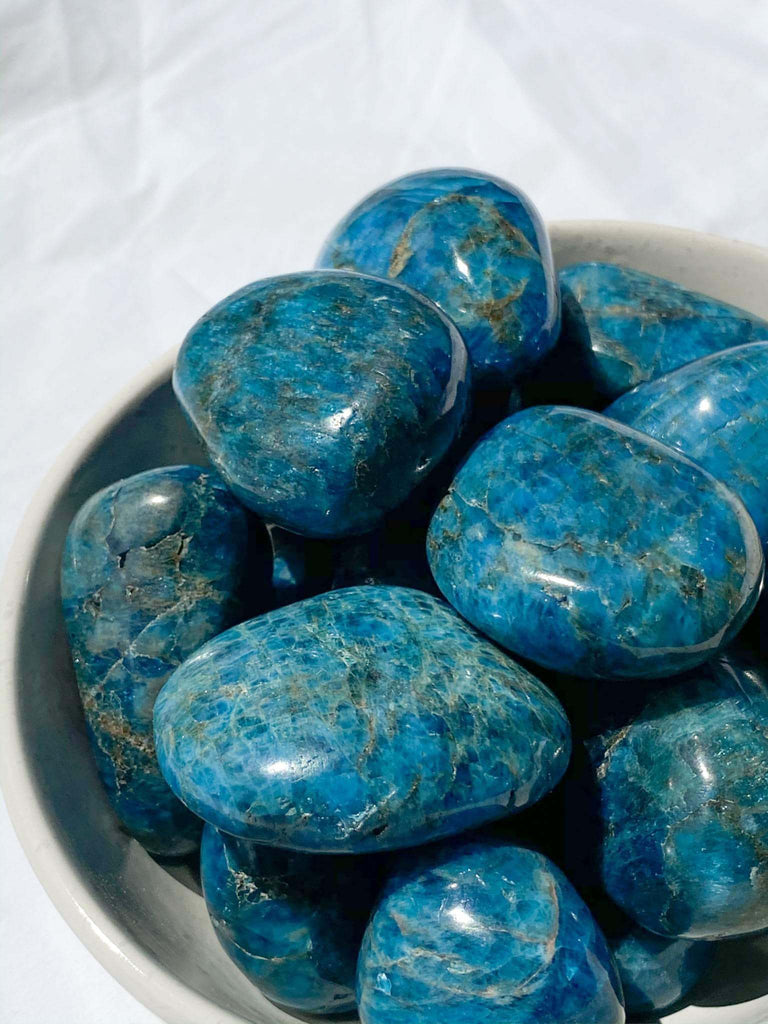 Blue Apatite Palm Stone | Medium - Unearthed Crystals
