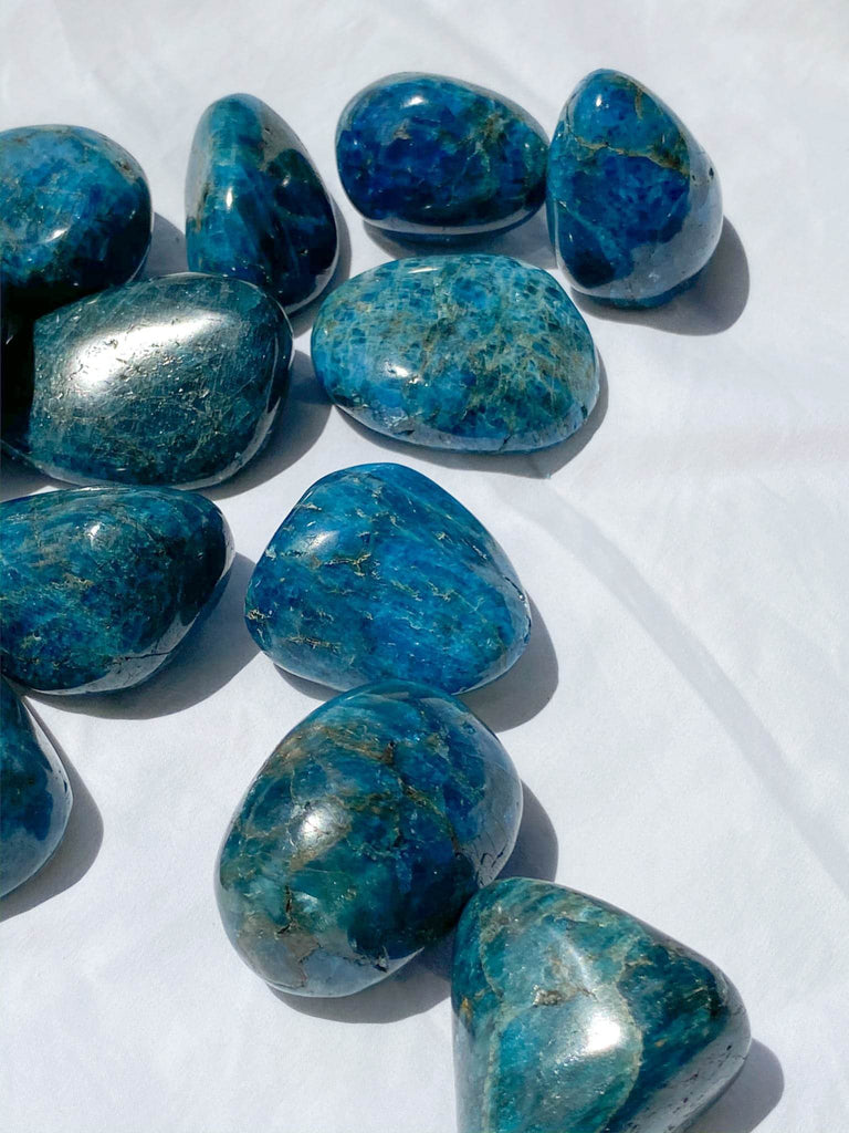 Blue Apatite Palm Stone | Medium - Unearthed Crystals