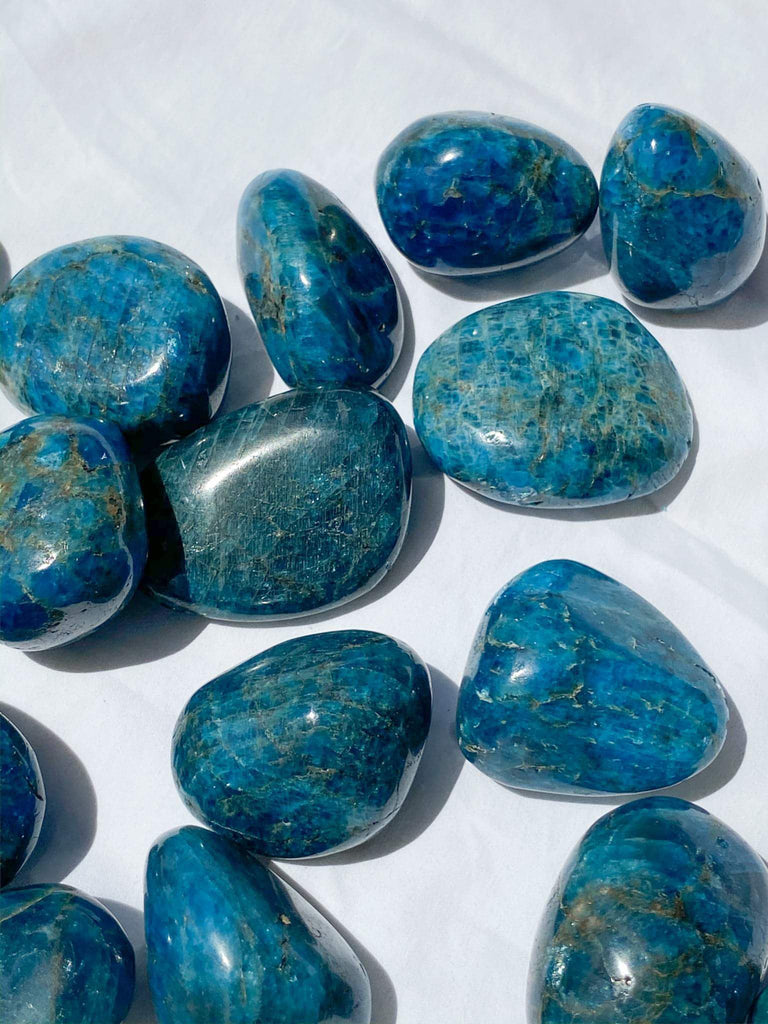 Blue Apatite Palm Stone | Medium - Unearthed Crystals