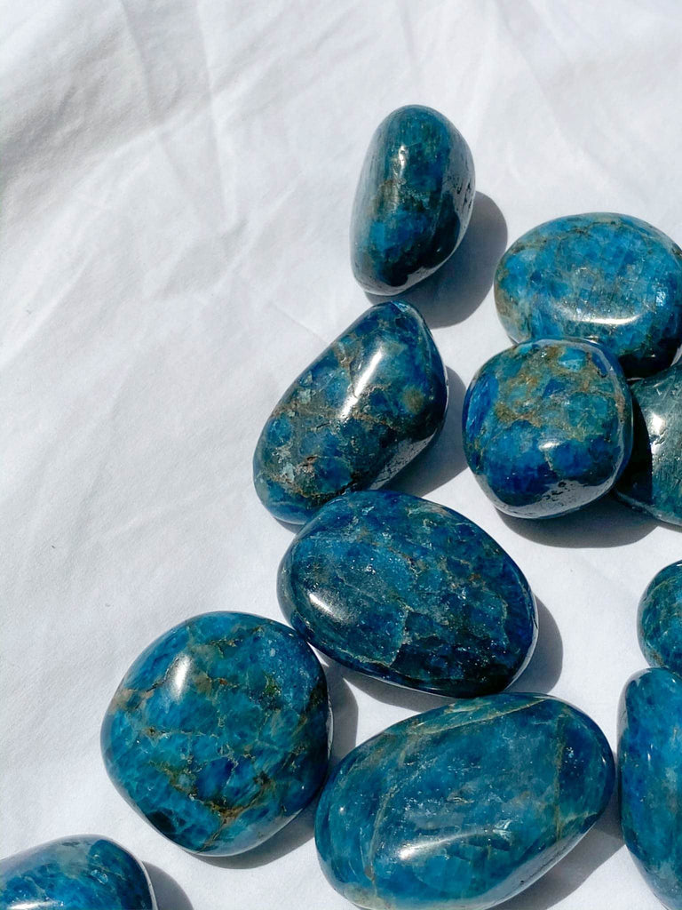 Blue Apatite Palm Stone | Medium - Unearthed Crystals