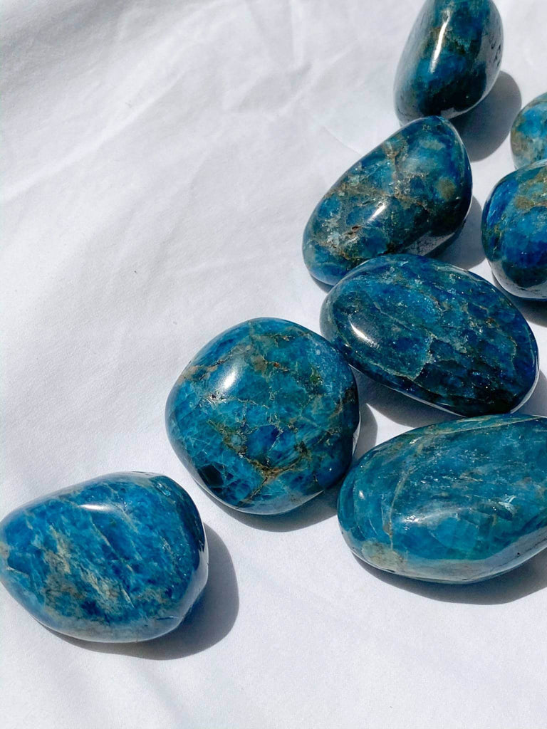 Blue Apatite Palm Stone | Medium - Unearthed Crystals