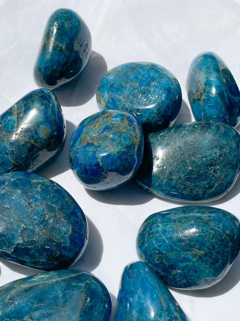 Blue Apatite Palm Stone | Medium - Unearthed Crystals