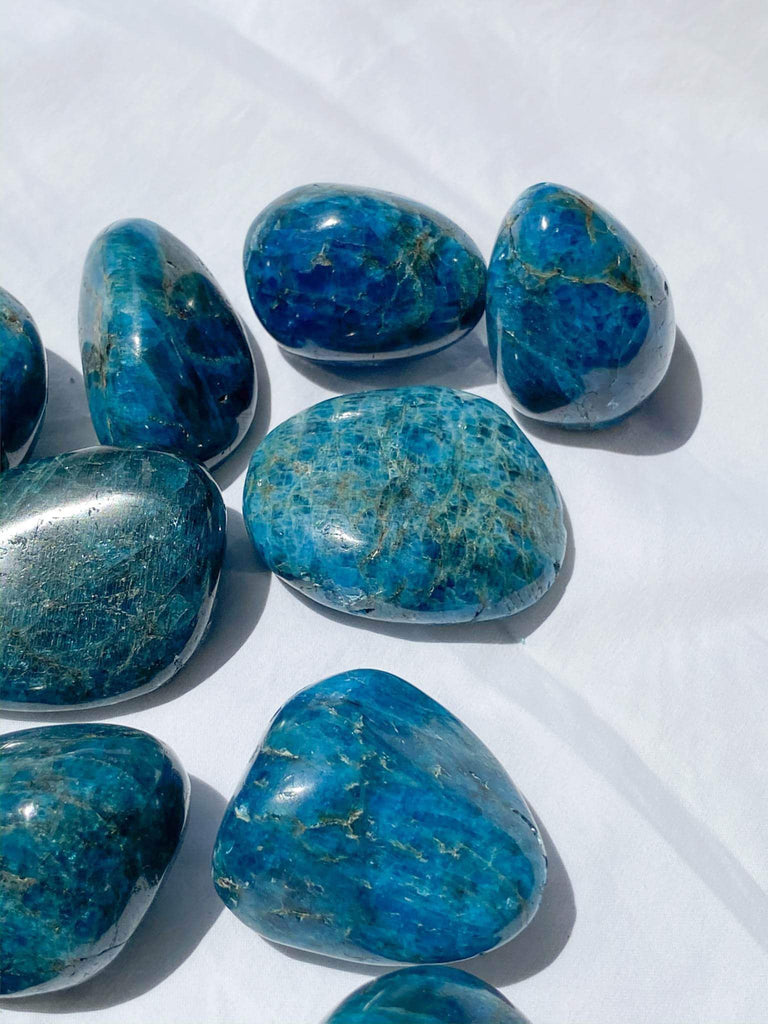 Blue Apatite Palm Stone | Medium - Unearthed Crystals