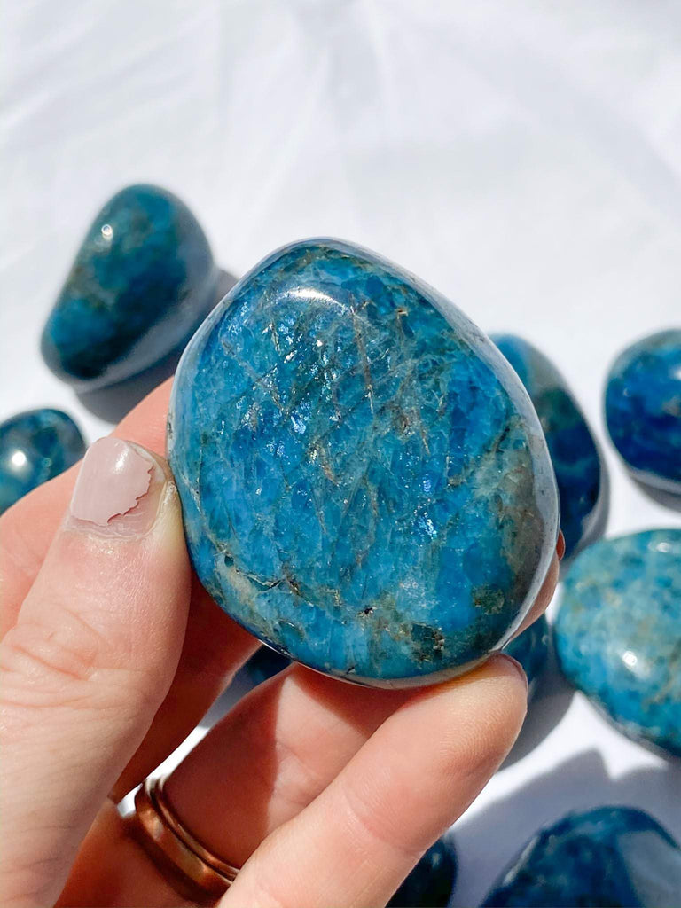 Blue Apatite Palm Stone | Medium - Unearthed Crystals