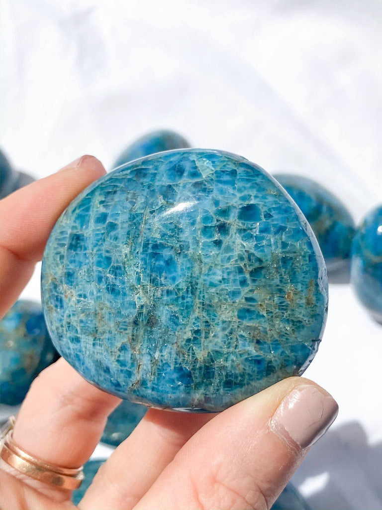 Blue Apatite Palm Stone | Medium - Unearthed Crystals