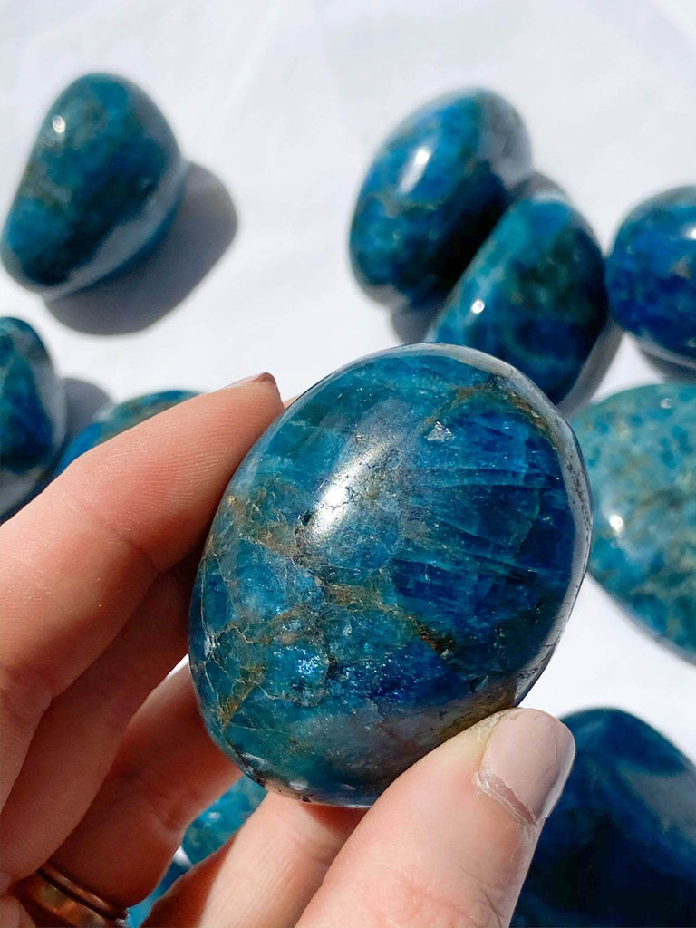 Blue Apatite Palm Stone | Medium - Unearthed Crystals