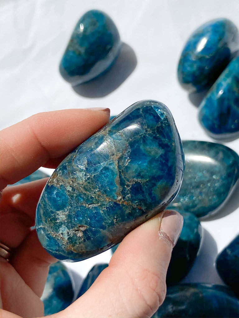 Blue Apatite Palm Stone | Medium - Unearthed Crystals