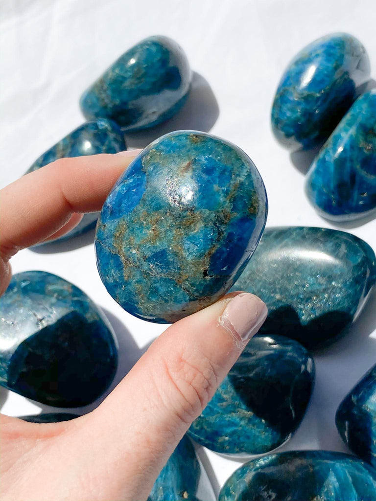 Blue Apatite Palm Stone | Medium - Unearthed Crystals