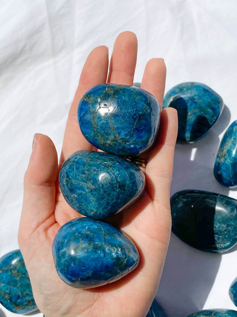 Blue Apatite Palm Stone | Medium - Unearthed Crystals