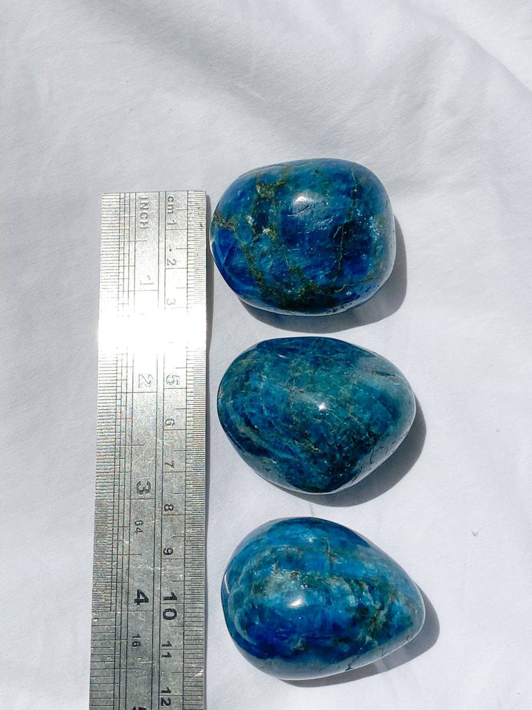 Blue Apatite Palm Stone | Medium - Unearthed Crystals